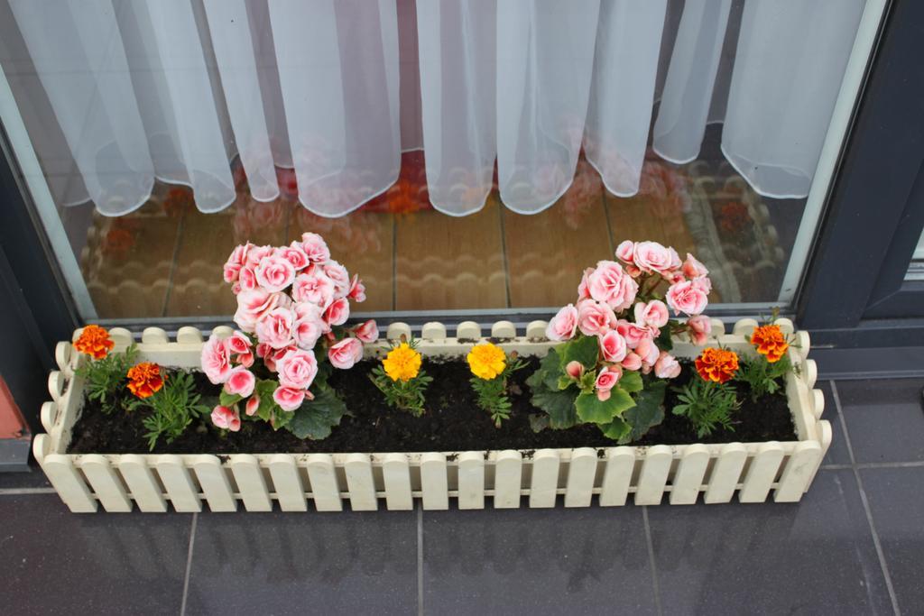 Jauku Erdvu Silta Apartment คอนัส ภายนอก รูปภาพ
